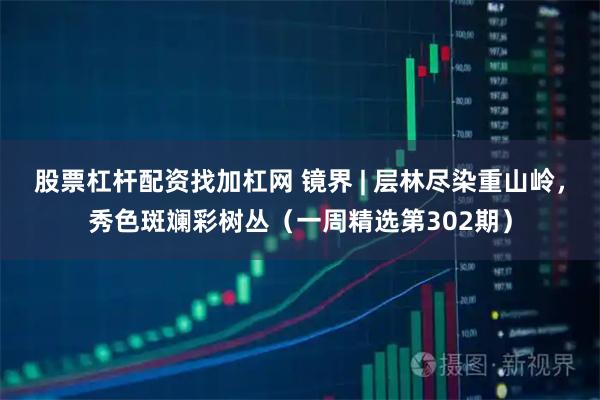 股票杠杆配资找加杠网 镜界 | 层林尽染重山岭，秀色斑斓彩树丛（一周精选第302期）
