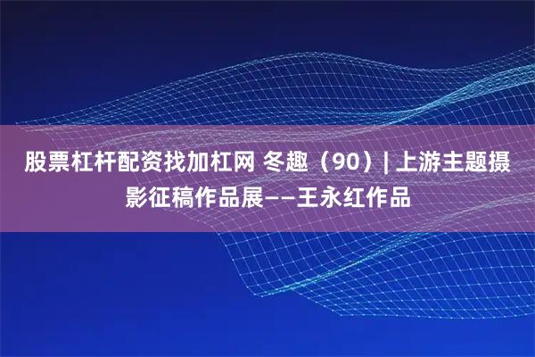 股票杠杆配资找加杠网 冬趣（90）| 上游主题摄影征稿作品展——王永红作品