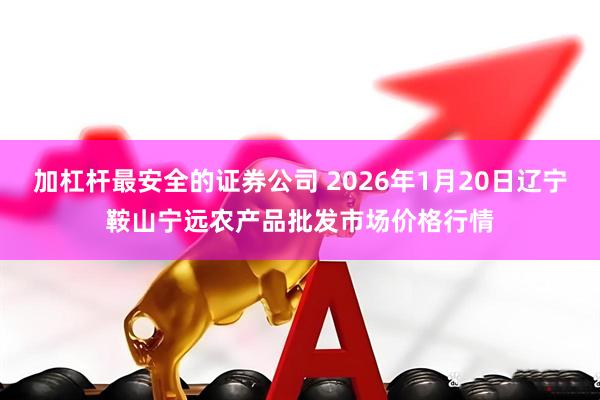 加杠杆最安全的证券公司 2026年1月20日辽宁鞍山宁远农产品批发市场价格行情