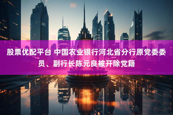 股票优配平台 中国农业银行河北省分行原党委委员、副行长陈元良被开除党籍