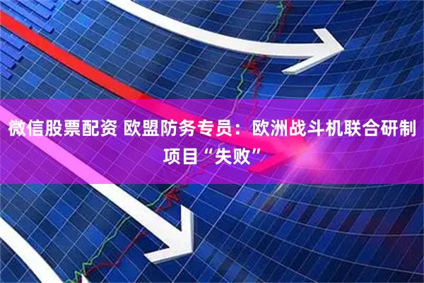 微信股票配资 欧盟防务专员：欧洲战斗机联合研制项目“失败”