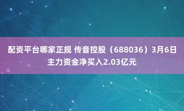 配资平台哪家正规 传音控股（688036）3月6日主力资金净买入2.03亿元