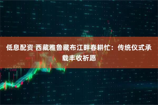 低息配资 西藏雅鲁藏布江畔春耕忙：传统仪式承载丰收祈愿